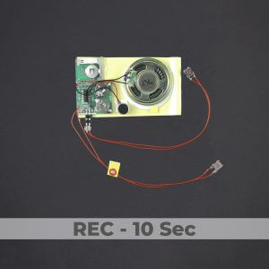 Push Button Sound Module - Rec 10 Sec