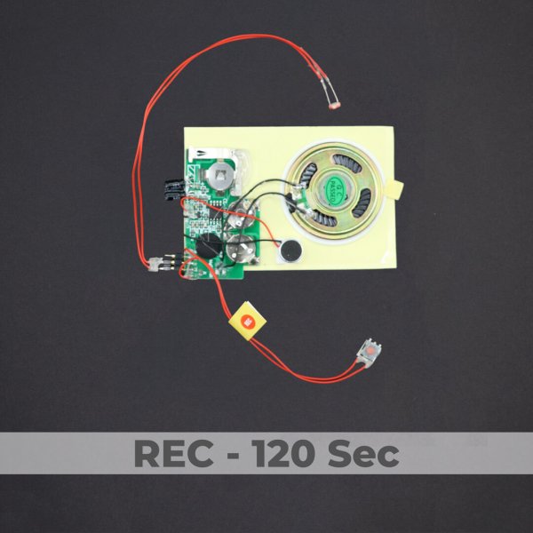 Light Activated Sound Module - Rec 120 Sec