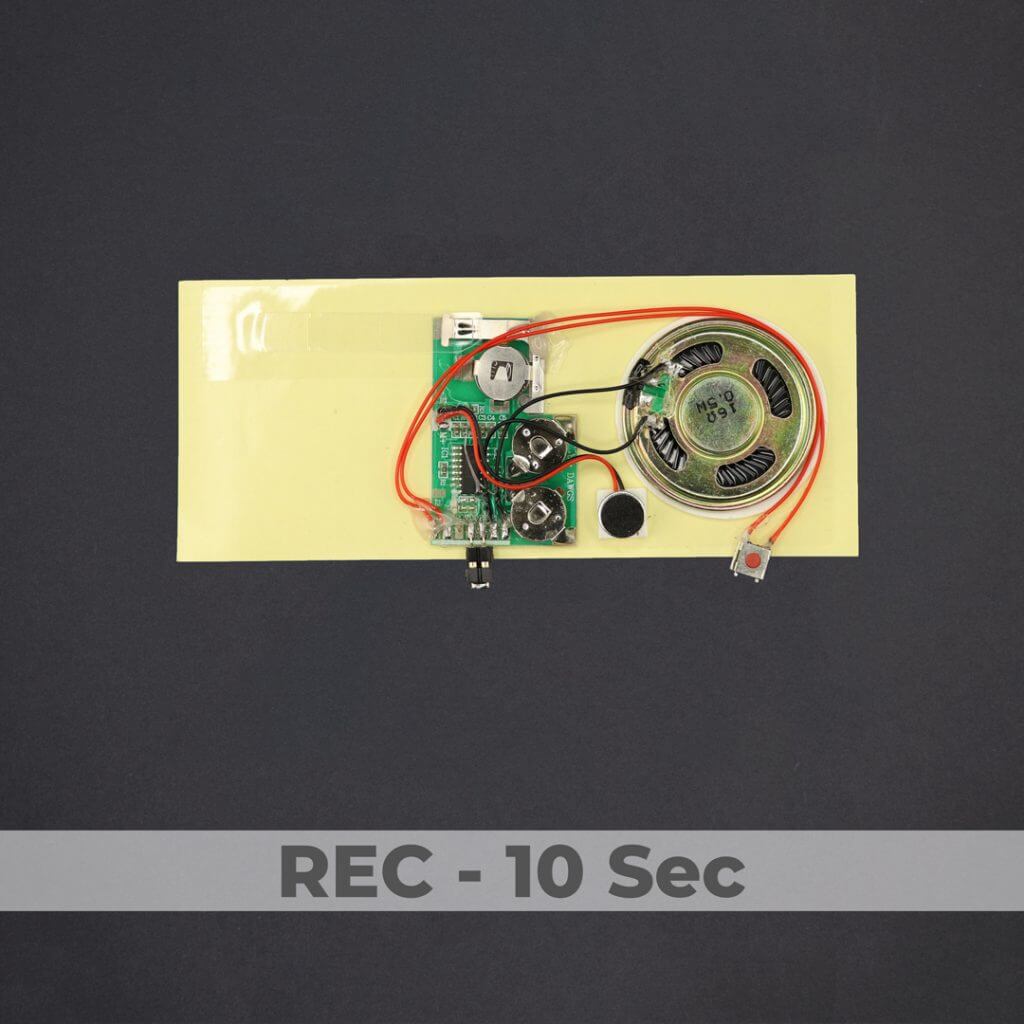 Greeting Card Sound Module Rec 10 Sec bigDAWGS greetings