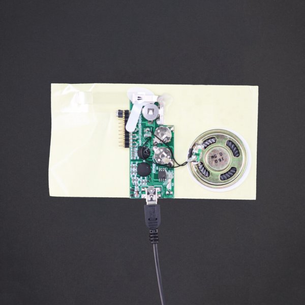 USB Programmed - Greeting Card Sound Module - 200 Sec