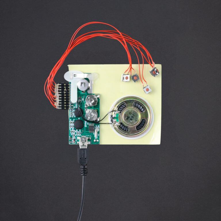 USB Programmed - 5 Button Sound Module - 200 Sec - bigDAWGS greetings
