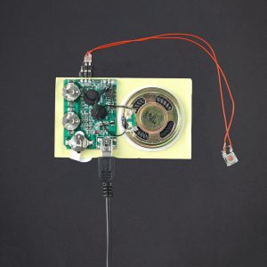 USB Programmed - Push Button Sound Module - 200 Sec
